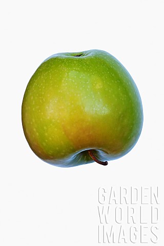 Apple_Granny_Smith_Malus_domestica_Granny_Smith_Studio_shot_of_green_fruit_against_white_background