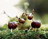 A WALK IN THE WOODS - ANIMALS MADE OF ACORNS AND CHESTNUTS
