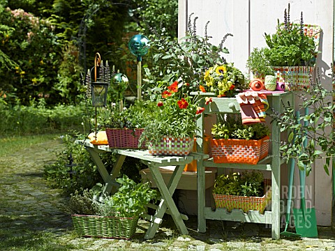 HERBS_IN_BASKETS_WITH_GARDEN_TOOLS