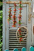 DOOR DECORATED WITH CHILLI CHAINS