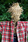SCARECROW: HEAD MADE OF STRAW