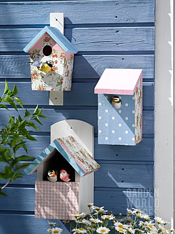 DECORATED_BIRD_BOXES
