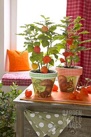 AUTUMNAL_PLANTERS_WITH_DECOUPAGE