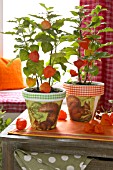 AUTUMNAL PLANTERS WITH DECOUPAGE