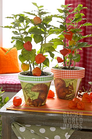 AUTUMNAL_PLANTERS_WITH_DECOUPAGE