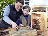 INSECT HOUSE BUILDING PROJECT WITH FATHER AND SON.  CUTTING BAMBOO INTO SMALL BUNDLES.  STEP 28