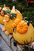 DECORATED SQUASHES WITH FACES