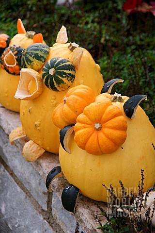 DECORATED_SQUASHES_WITH_FACES
