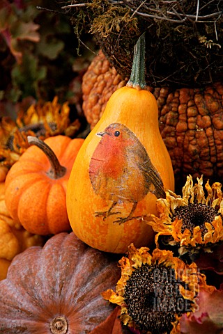 SQUASH_PAINTED_WITH_ROBIN_WITH_DRIED_SUNFLOWERS