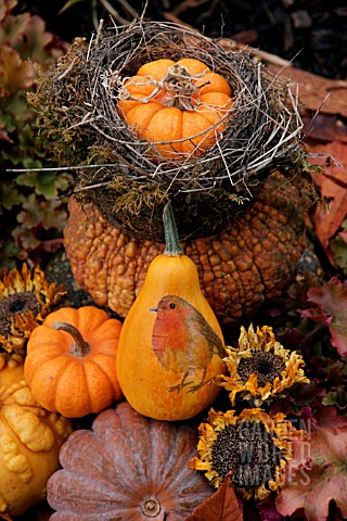 SQUASH_PAINTED_WITH_ROBIN_AND_PLACED_IN_BIRDS_NEST
