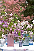 CUT BRANCHES WITH BLOSSOMS OF MALUS AND SYRINGA VULGARIS IN PINK AND BLUE GLASS VASES