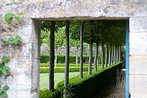 BUXUS_SEMPERVIRENS_AND_TILIA_TREES_IN_FORMAL_GARDEN_AT_CHATEAU_DE_BRECY