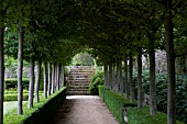 BUXUS SEMPERVIRENS AND TILIA TREES, IN FORMAL GARDEN WITH PATH AND STAIRS  AT CHATEAU DE BRECY