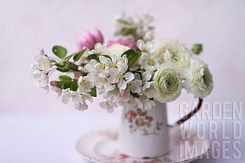 MALUS_X_EVERESTE__ROSA__RANUNCULUS_ASIATICUS_IN_BOUQUET__IN_A_VINTAGE_PITCHER