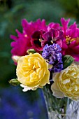 SUMMER BOUQUET OF ROSA GRAHAM THOMAS, NEPETA WALKERS LOW (CATMINT), DOUBLE PEONIES AND PANSIES
