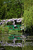 BRIDGE AND WISTERIA REFLECTED IN POND AT MONETS GARDEN GIVERNY FRANCE