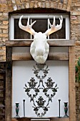 THE DRAWING ROOM GARDEN  URBAN LONDON GARDEN  ILLUMINATED MOOSE HEAD TROPHY  DESIGNED BY: EARTH DESIGNS.