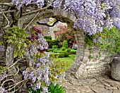 ROUND ARCH IN STONE WALL AT BIDDESTONE MANOR, WITH WISTERIA AND BOX TOPIARY