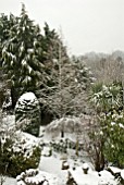 EVERGREEN AND DECIDUOUS TREES AND SHRUBS COVERED IN SNOW IN COUNTRY GARDEN