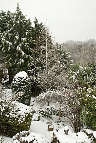EVERGREEN_AND_DECIDUOUS_TREES_AND_SHRUBS_COVERED_IN_SNOW_IN_COUNTRY_GARDEN
