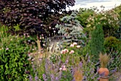 SUMMER GARDEN WITH SHED AND MIXED HERBACEOUS BORDERS