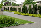 CONTEMPORARY GARDEN STONE WALL AND DRIVE WITH TAXUS BACCATA,  ALCHEMILLA MOLLIS, HEDERA AND FERNS