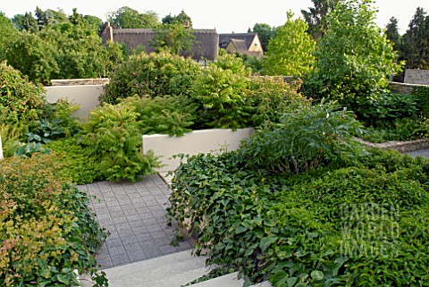 CONTEMPORARY_ENCLOSED_GARDEN_WITH_GREEN_PLANTING