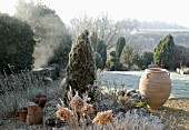 FROSTY WINTER GARDEN WITH BIG POT, CONIFERS AND MIXED PLANTING
