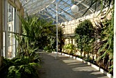 INTERIOR OF THE GREAT CONSERVATORY AT SYON PARK