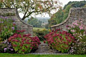 SEDUM HERBSTFREUDE IN AUTUMN BORDER AT CAMERS, GLOUCESTERSHIRE WITH FRAMED VIEW OF LANDSCAPE