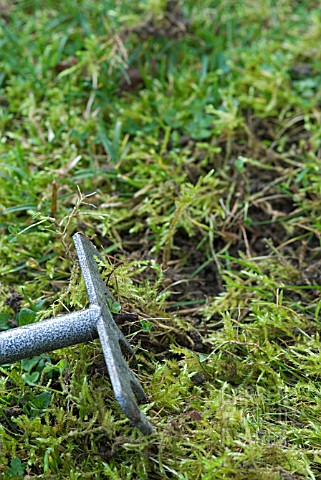 RAKING_MOSS_FROM_THE_LAWN