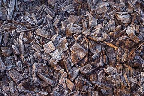 BARK_MULCH_WITH_WINTER_FROST