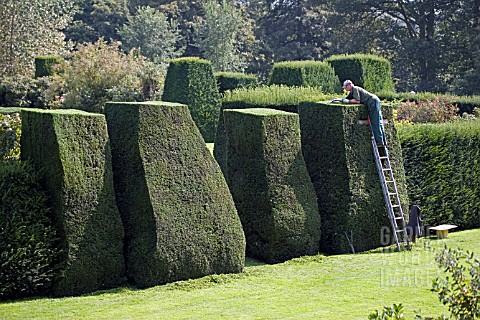 HEDGE_TRIMMING_AT_RENISHAW_HALL__SHEFFIELD__SEPTEMBER