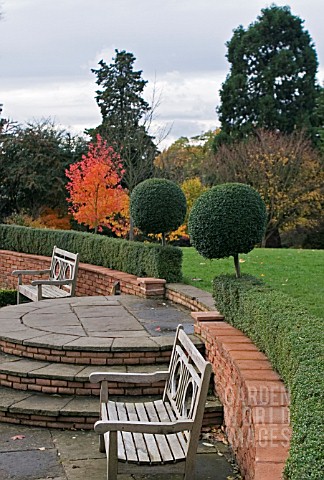VIEW_OF_BENCHES_AND_TOPIARY_AT_BIRMINGHAM_BOTANICAL_GARDENS__WITH_ACER_RUBRUM_OCTOBER_GLORY