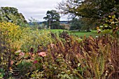 AUTUMN COLOUR AT HERGEST CROFT,  HEREFORDSHIRE,  OCTOBER