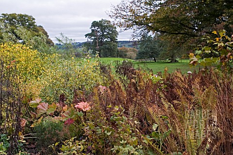 AUTUMN_COLOUR_AT_HERGEST_CROFT__HEREFORDSHIRE__OCTOBER