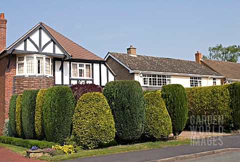 SUBURBAN_FRONT_GARDEN_WITH_HEDGE_INTEREST