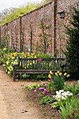 SPRING BED AT HELMSLEY WALLED GARDEN