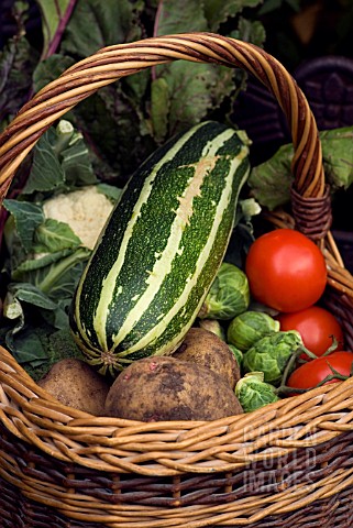 BASKET_OF_VEGETABLES_SPROUTS_MARROW_CAULIFLOWER_POTATOES_TOMATOES_BEETROOT