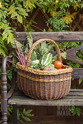 WICKER_BASKET_OF_VEGETABLES_CONTAINING_MARROW_TOMATOES_CAULIFLOWER_BEETROOT_AND_POTATOES