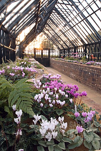ALPINE_HOUSE_AT_THE_RHS_WISLEY_GARDENS
