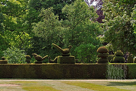 TOPIARY_AT_GRIMSTHORPE_CASTLE