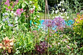 COTTAGE GARDEN MIXED BORDER BY A SWIMMING POOL
