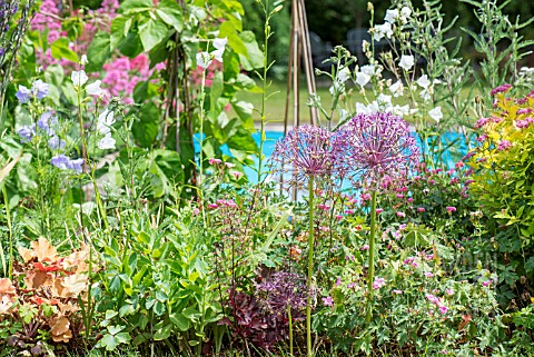 COTTAGE_GARDEN_MIXED_BORDER_BY_A_SWIMMING_POOL