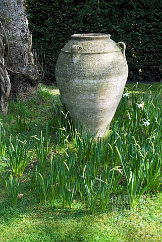 LARGE_GARDEN_VASE_AT_SHEPHERD_HOUSE_INVERESK_SCOTLAND_OWNERS_SIR_CHARLES_AND_LADY_FRASER
