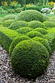 TOPIARY WITH BUXUS SEMPERVIRENS
