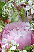 SPRING BOUQUET IN PINK FLOWER POT - PAEONIA