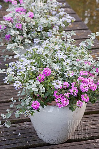 CONTAINERS_WITH_ANNUALS