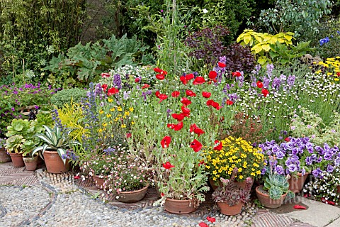 MIXED_SUMMER_CONTAINERS