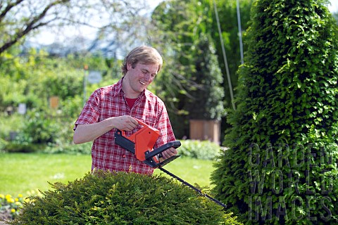 TRIMMING_CONIFERS_WITH_CORDLESS_HEDGE_TRIMMER